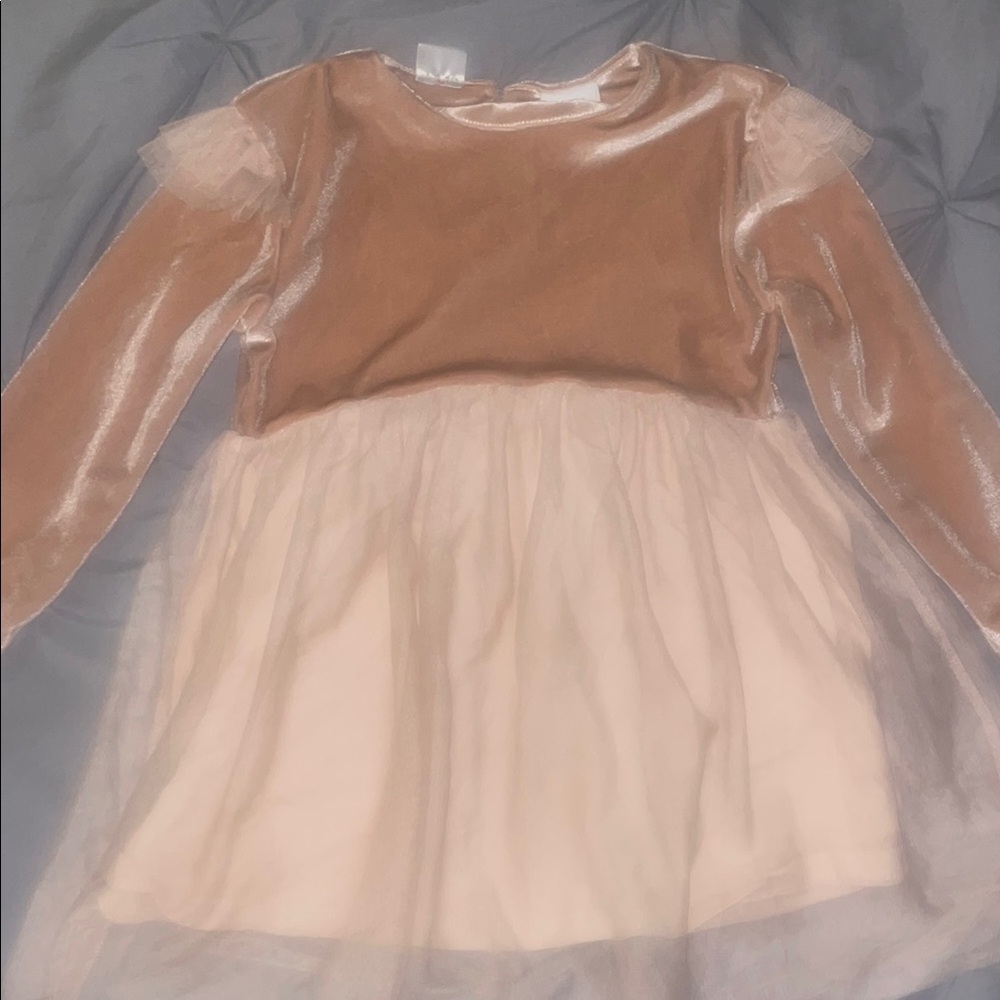 Zara Rose Pink Velvet Long Sleeve Dress with Tulle Skirt